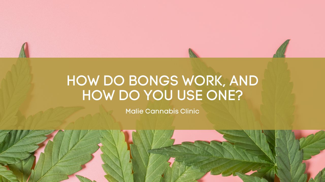 How Do Bongs Work, and How Do You Use One?